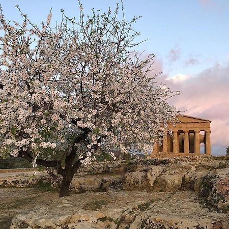 Alfa Quadro Acomodação com café da manhã Agrigento Exterior foto